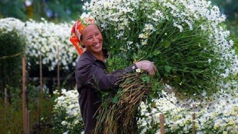 M&Uuml;KEMMEL BİR YAŞAM İ&Ccedil;İN TOLERE EDİLMEYECEK 20 ŞEY