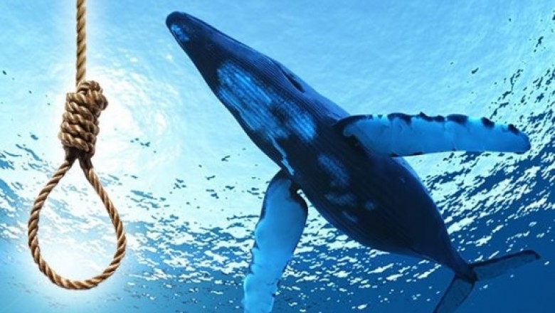 Deniz ve okyanus canlılarını tehdit eden plastik mezarlık: &Ouml;len balinanın midesinden 29 kilo atık &ccedil;ıktı