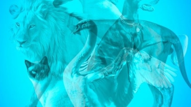 Resimdeki hayvanlardan ilk hangisi dikkatini &ccedil;ekti? (Kişilik testi)